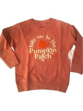 Cozy Soft Pumpkin Patch Fall Crewneck by Sweet Wink NWT 4T